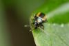 247488 – Photo : Jessica Joachim – France (09)